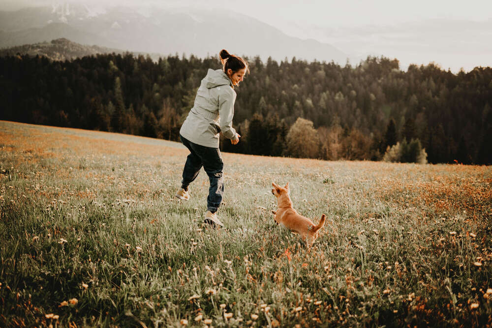 Hund-Mensch-Team (Johanna Olbrich)