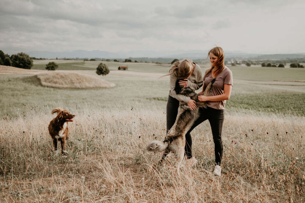 Freundschaftsshooting (Johanna Olbrich)