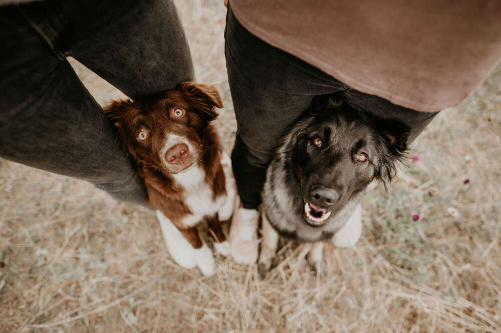Freundschaftsshooting (Johanna Olbrich)