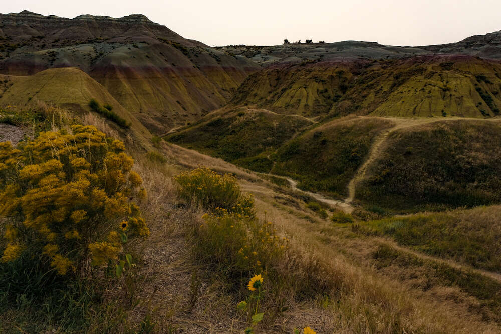 VB Photography (VB Photography)