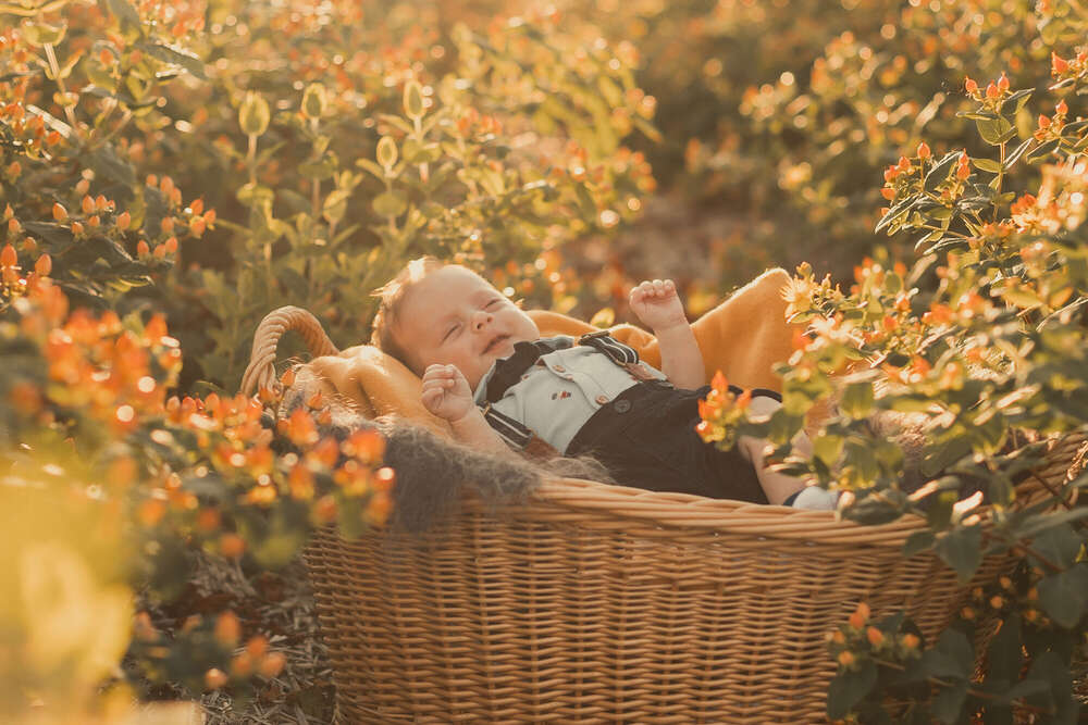 Alina Schäfer Photo (Alina Schäfer Photo)