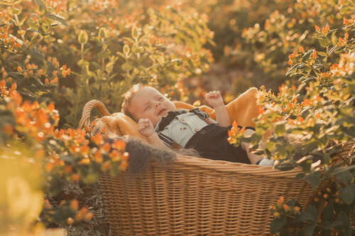 Alina Schäfer Photo