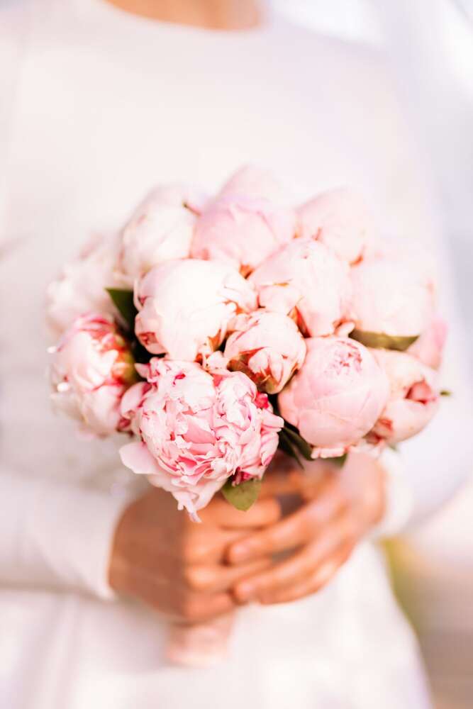 Shades of Light (Shades of Light)