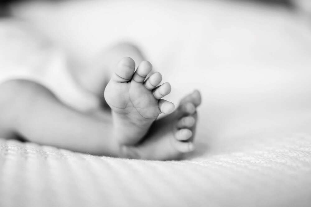 Jens Hollmann Fotografie