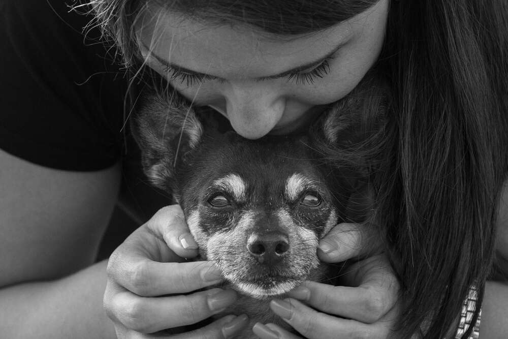 Haustiershooting in der Natur (Naturblickfotografie)