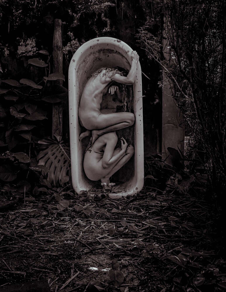 Anke Sturhahn-Humphreys (Anke Sturhahn-Humphreys)