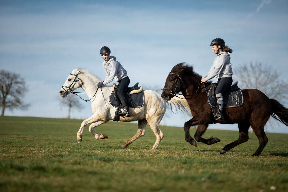 Natalie Oesinghaus (Natalie Oesinghaus)