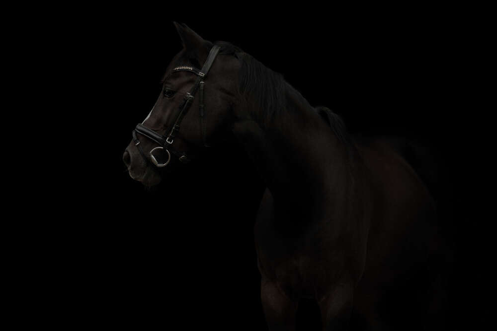 Natalie Oesinghaus (Natalie Oesinghaus)