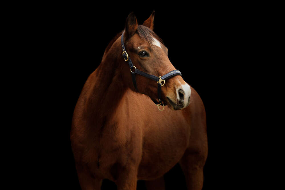 Natalie Oesinghaus (Natalie Oesinghaus)