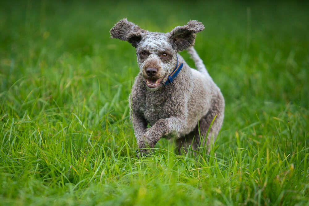 Natalie Oesinghaus (Natalie Oesinghaus)