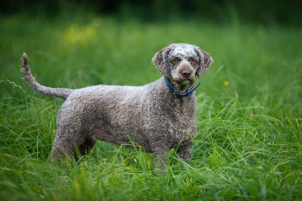 Natalie Oesinghaus (Natalie Oesinghaus)