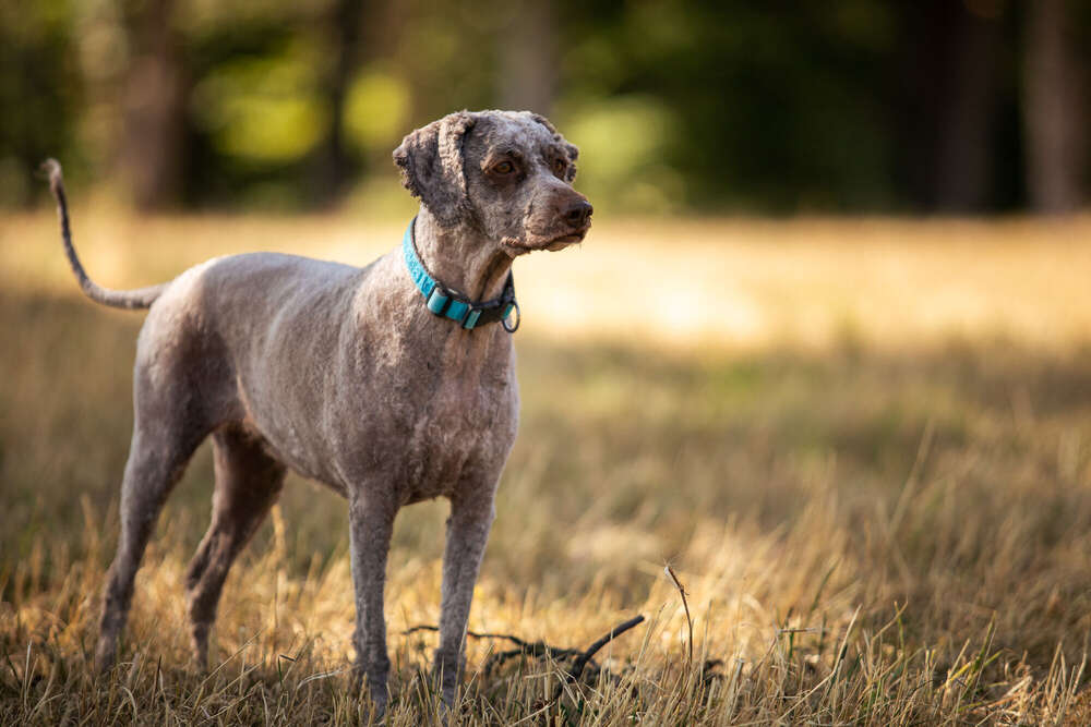 Natalie Oesinghaus (Natalie Oesinghaus)