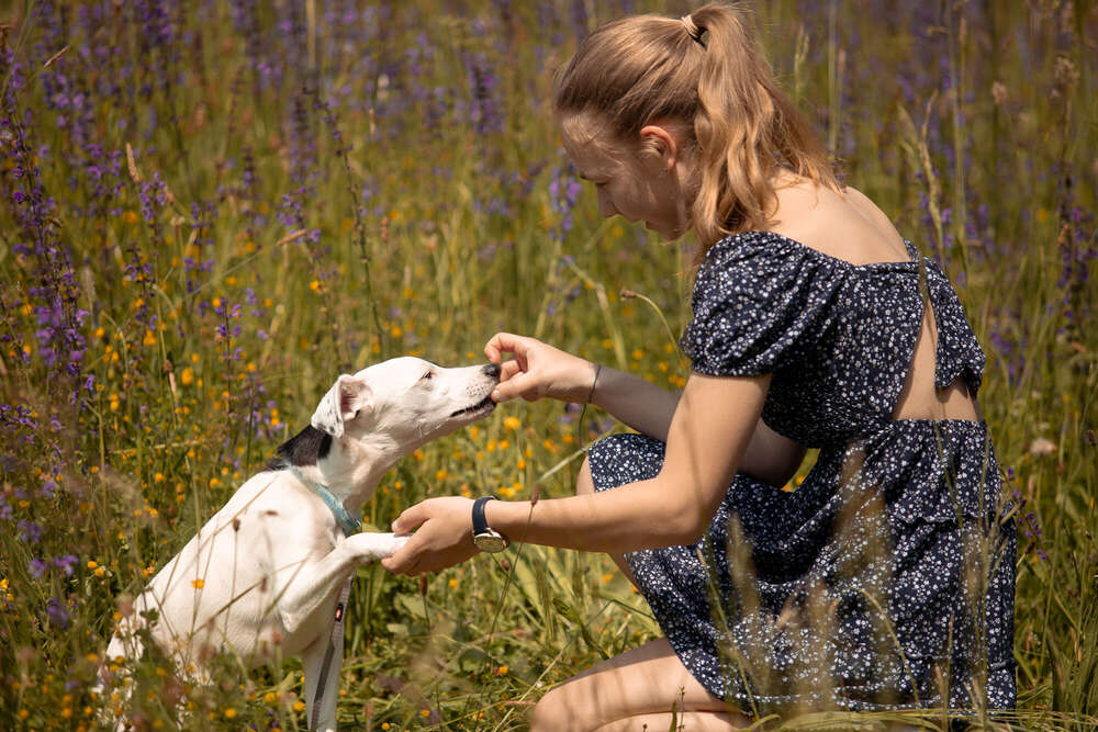 Natalie Oesinghaus (Natalie Oesinghaus)