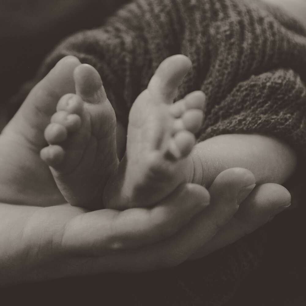 MiniBlitzPics (MiniBlitzPics)