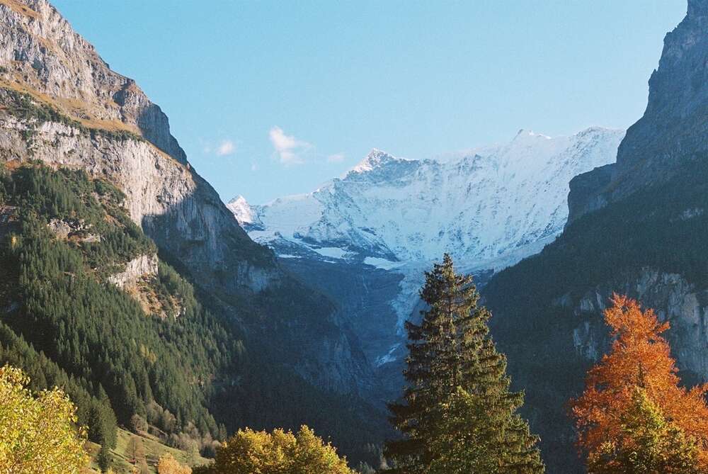 perceptionz (perceptionz)