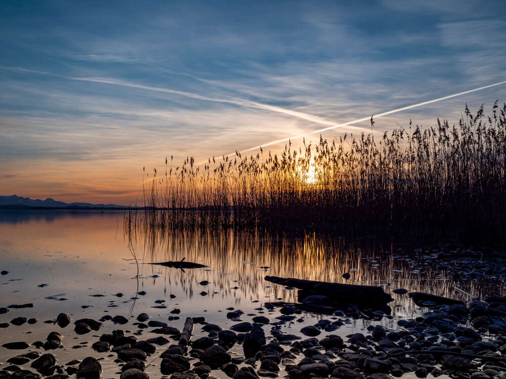 Chiemsee - Sonnenuntergang im Schilf (Franz Josef)
