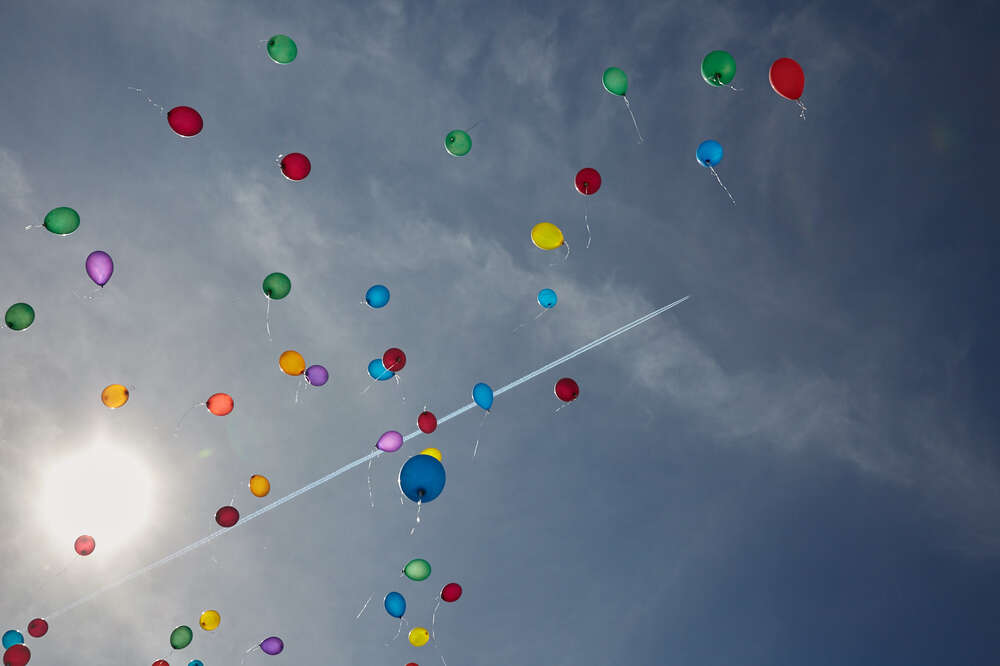 steck fotodesign (steck fotodesign)