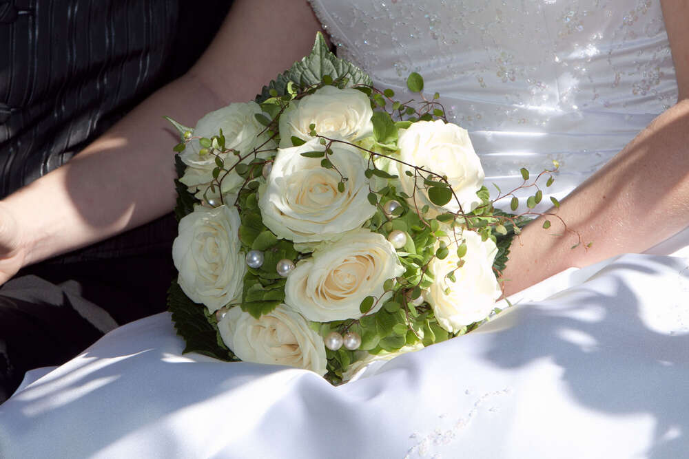 steck fotodesign (steck fotodesign)