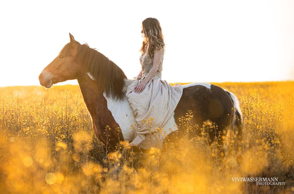 Pferd, Raps (Vivienne Wassermann)