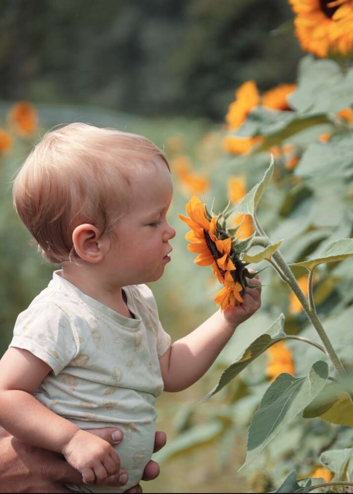 Fotografie Funk  (Fotografie Funk )