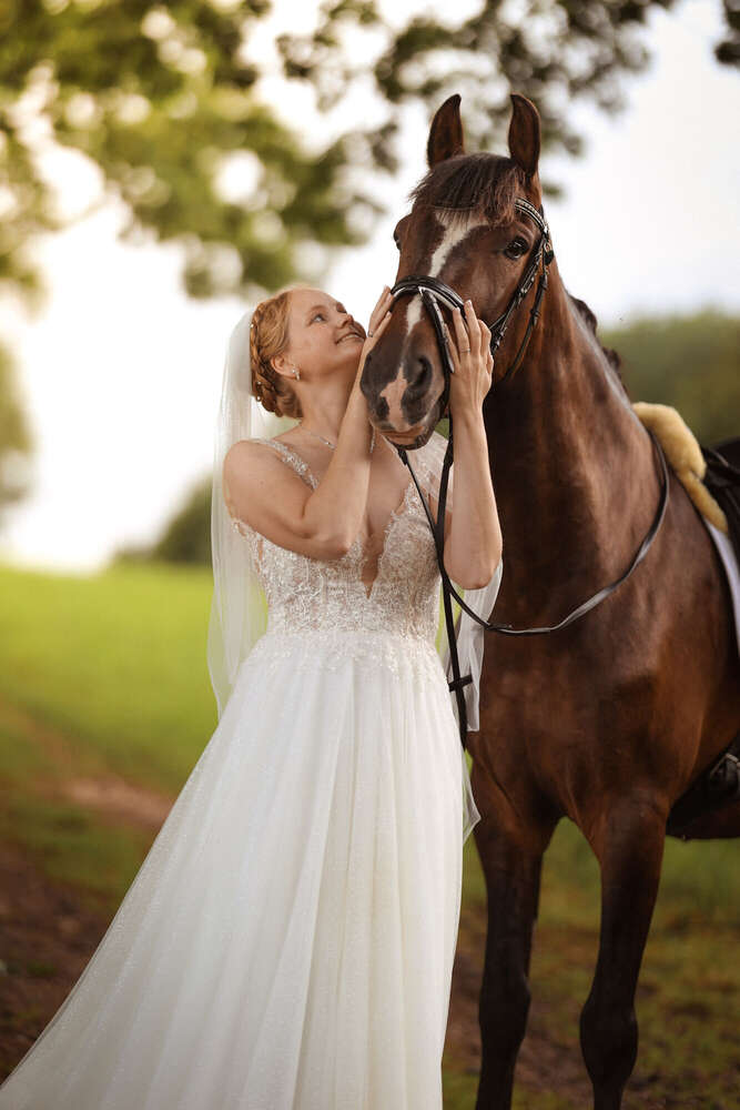 Hochzeit (Dmitry Ewig)