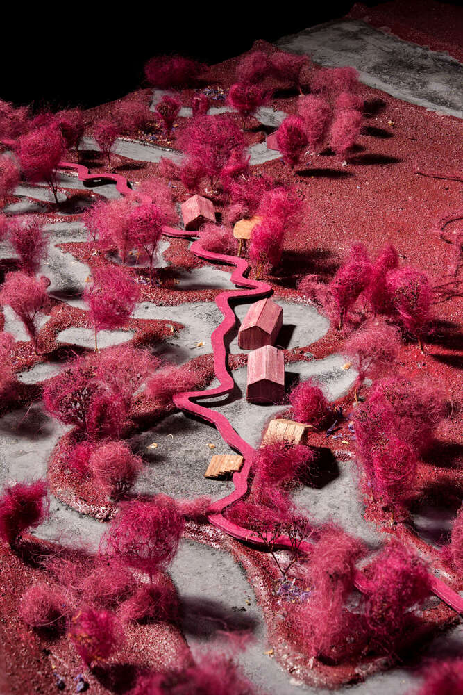 Ausstellungsdokumentation (Janosch Foto.Film)