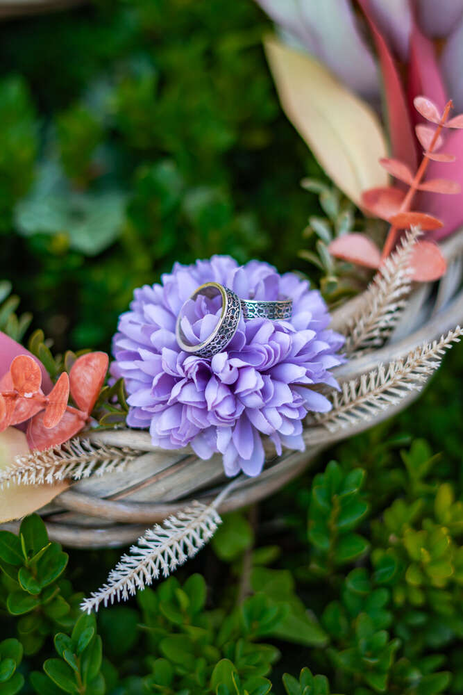 Johanna Plomer (Johanna Plomer)