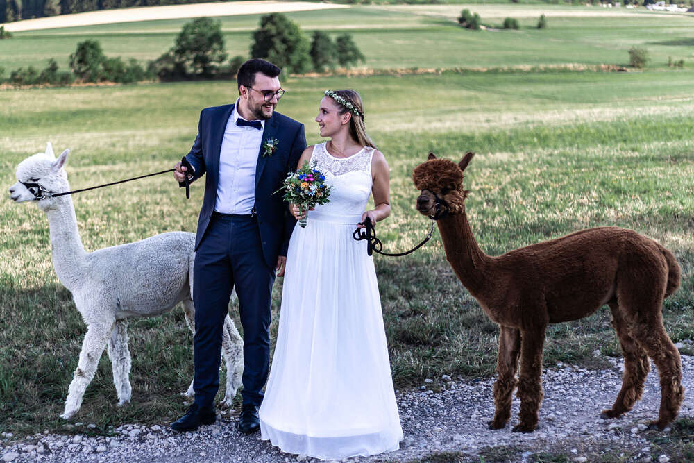 Tamara Bachner (Tamara Bachner)