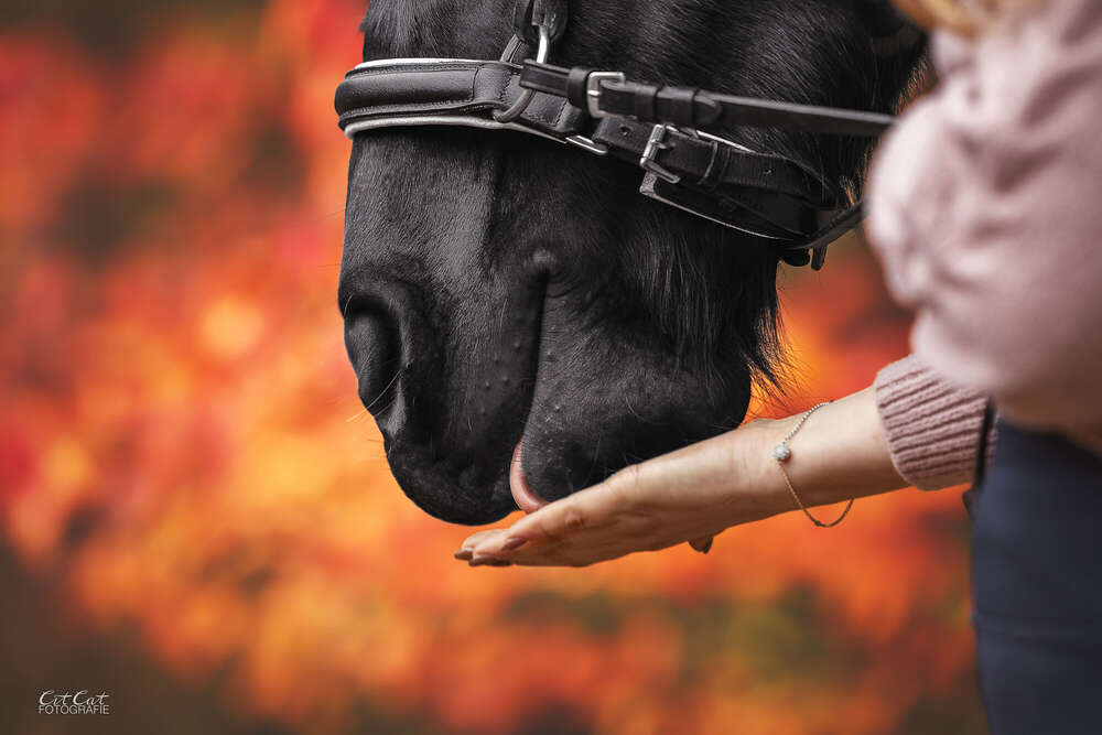 Fine Art Emotionales Bild (Mobil möglich)