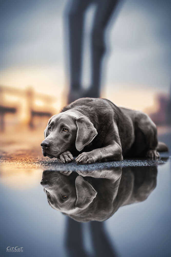 Fine Art K&uuml;nstlerisches Portrait (Mobil möglich)