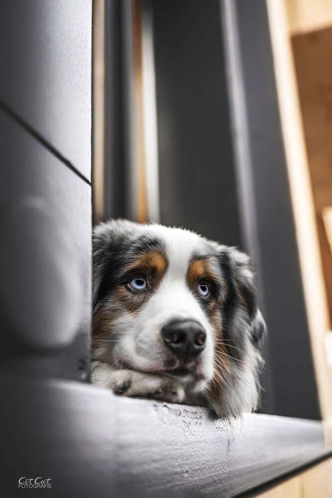 Fine Art Stadtbild (Mobil möglich)