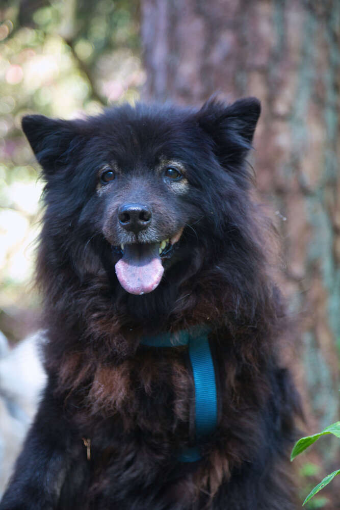 Spaziergang im Rhododendron-Park (Sören Dehmel)