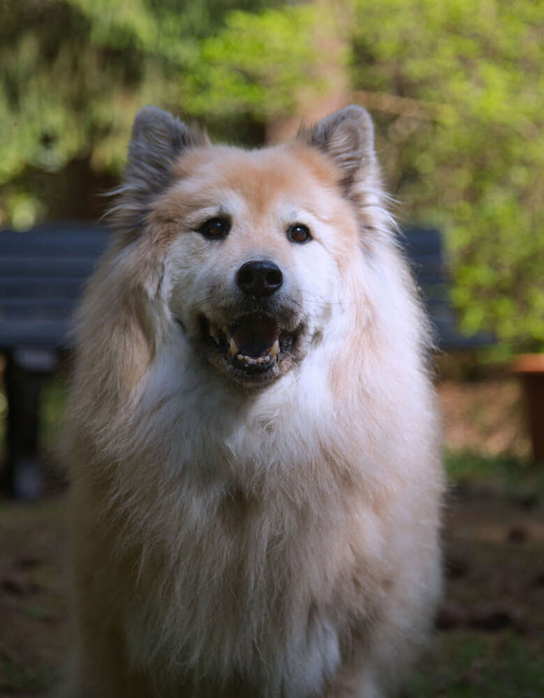 Spaziergang im Rhododendron-Park (Sören Dehmel)