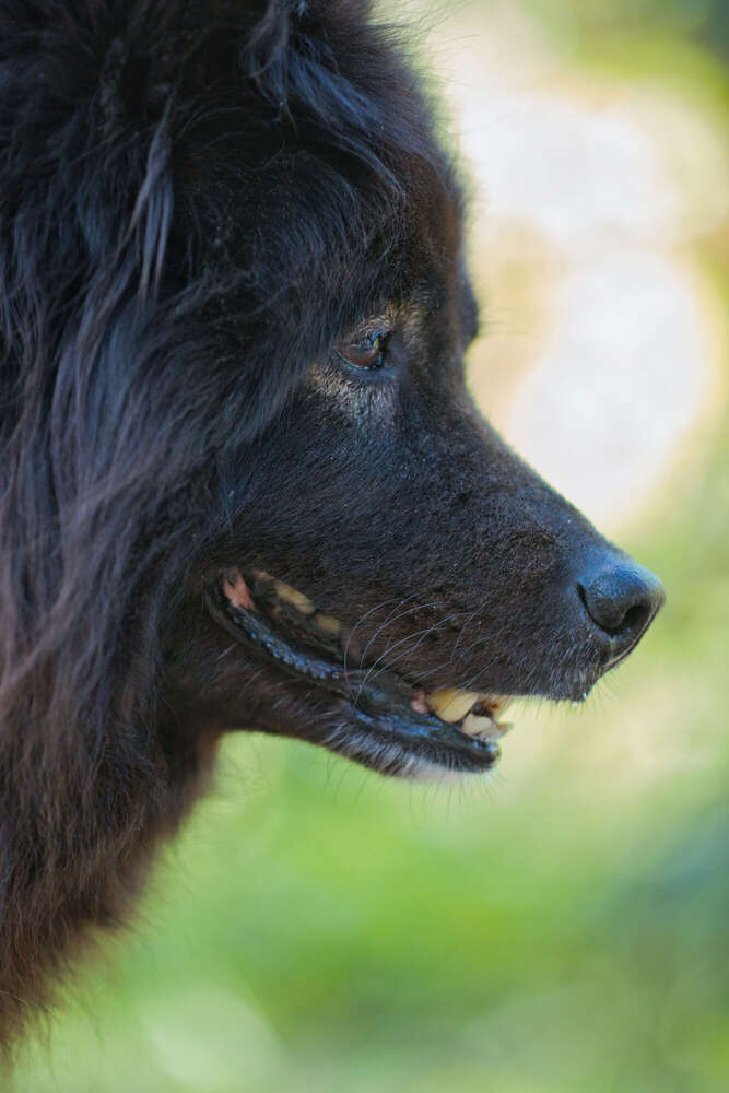 Spaziergang im Rhododendron-Park (Sören Dehmel)