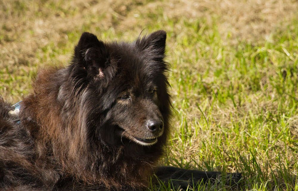Spaziergang im Rhododendron-Park (Sören Dehmel)