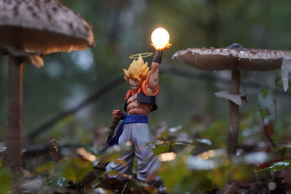 Gogeta (pg.fotografie)