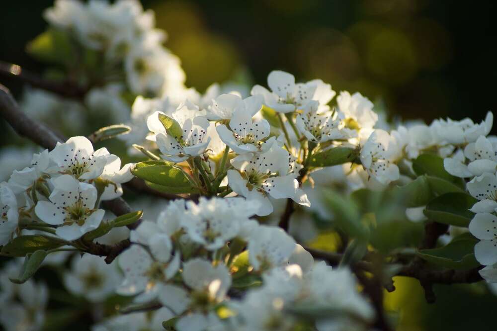 pg.fotografie (pg.fotografie)