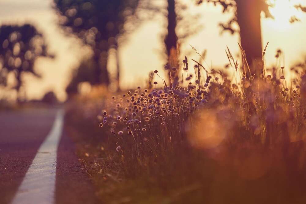 street (pg.fotografie)