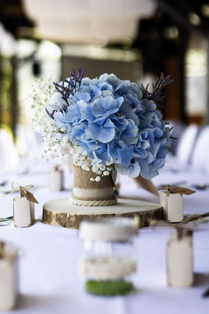 Tamara Theisen Photography (Tamara Theisen Photography)