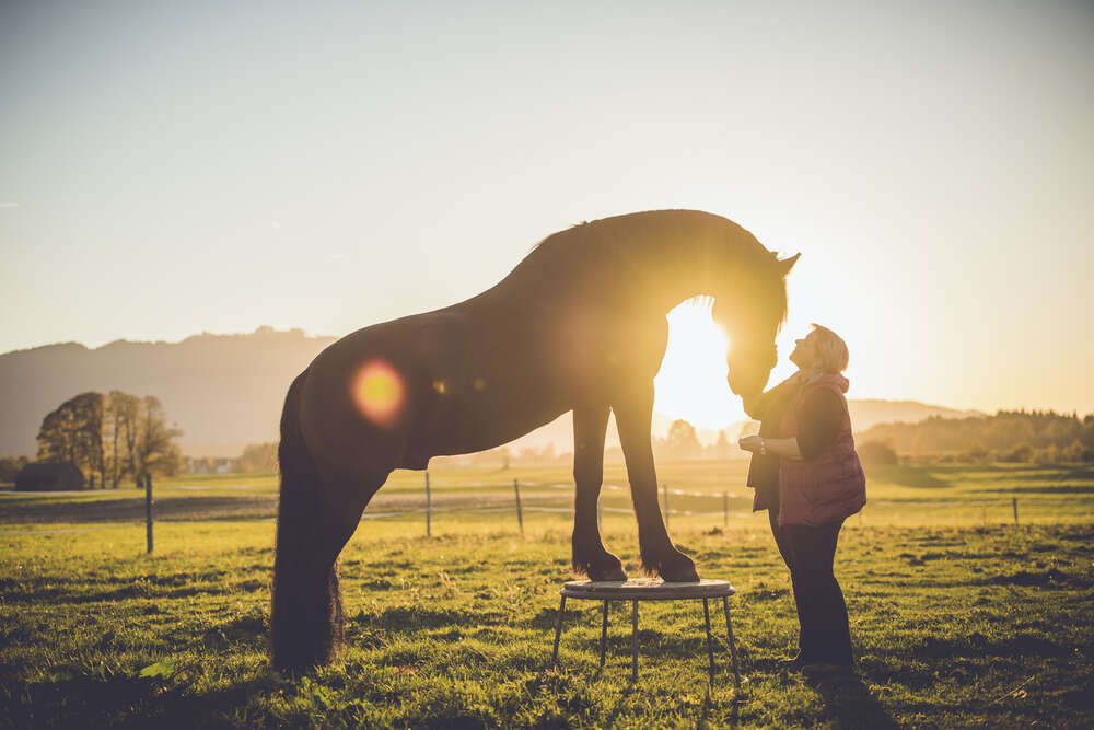 Miriam Mayer (Miriam Mayer)