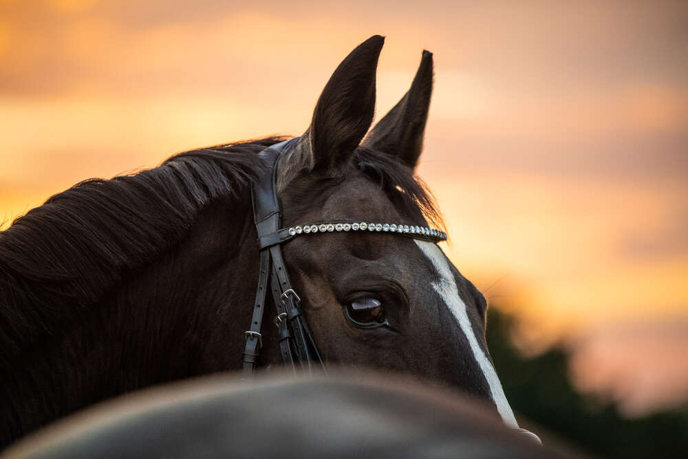 Miriam Mayer (Miriam Mayer)