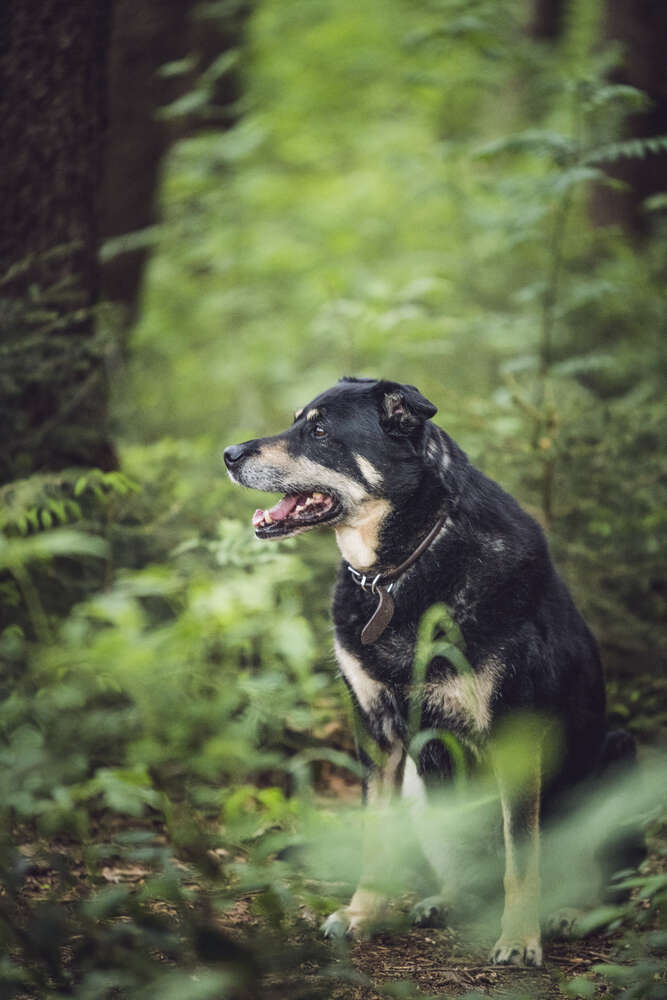 Miriam Mayer (Miriam Mayer)