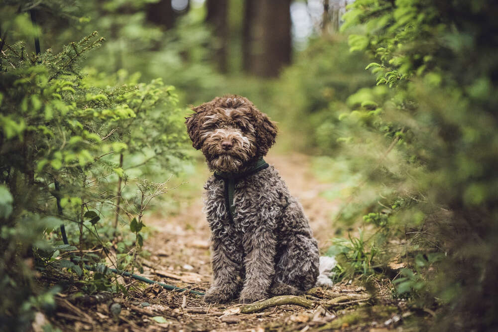 Miriam Mayer (Miriam Mayer)