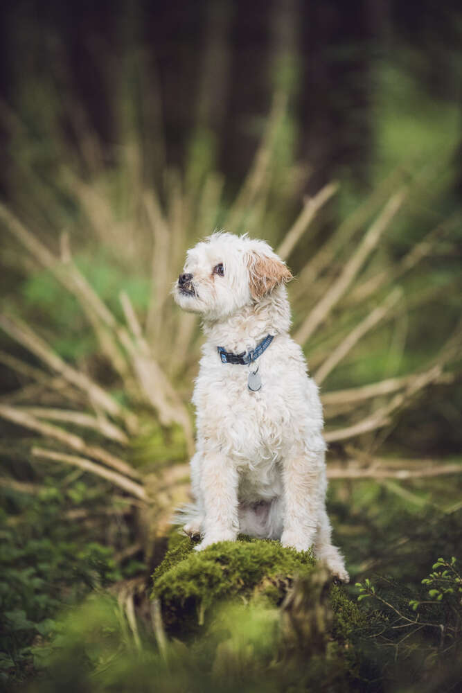 Miriam Mayer (Miriam Mayer)