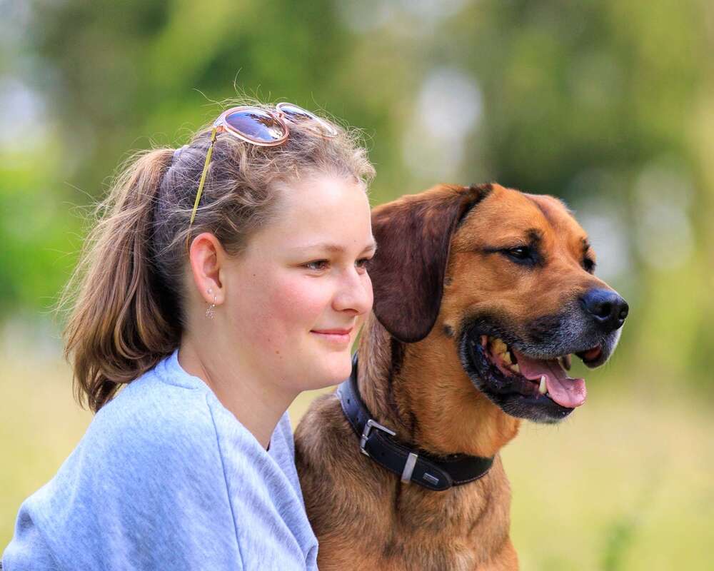 Treue Freunde (Sandra.Cards)