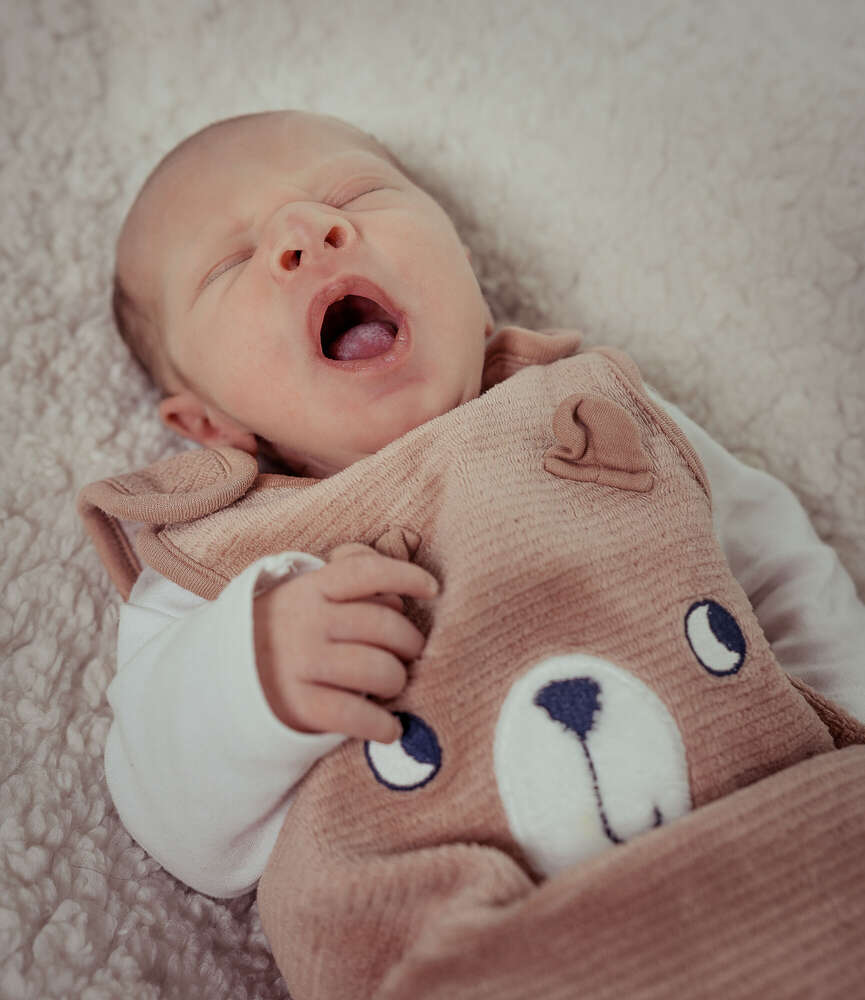 auzinger photography (auzinger photography)