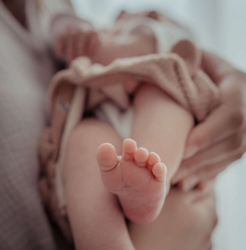 auzinger photography (auzinger photography)