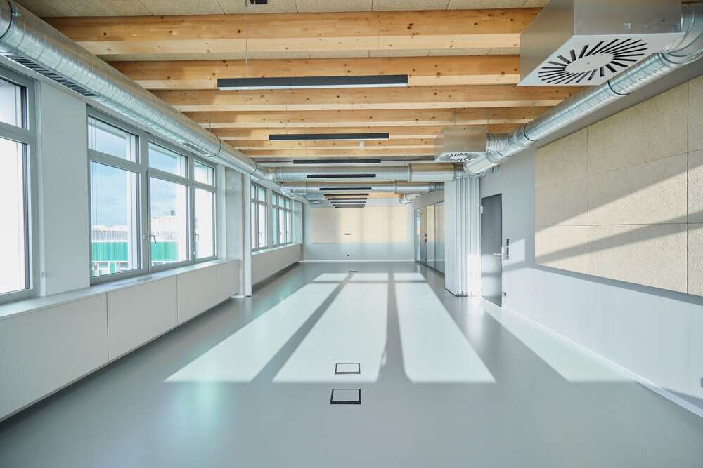 Dominik Mattern (Dominik Mattern)