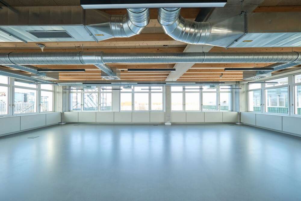 Dominik Mattern (Dominik Mattern)