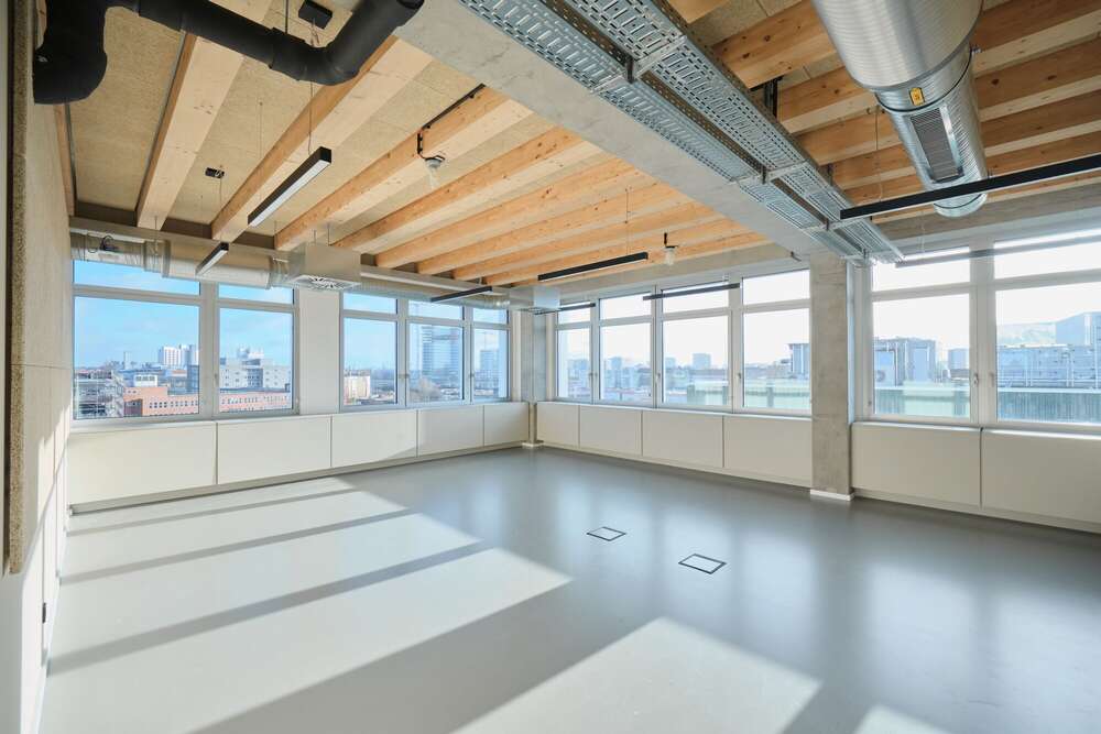 Dominik Mattern (Dominik Mattern)